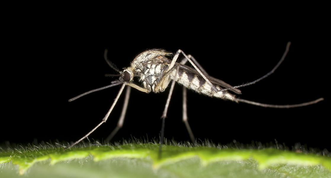 Abstract Science: Nov. 23-27