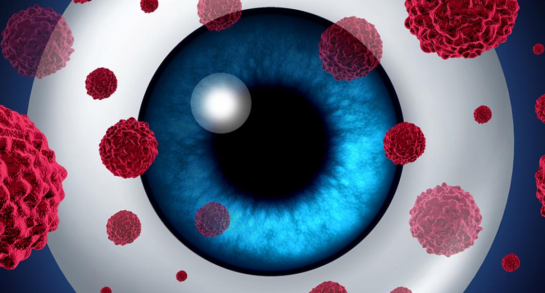 In Vitro's Growing Space in Safety Testing