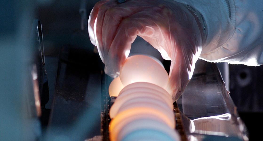 The Future of Vaccines