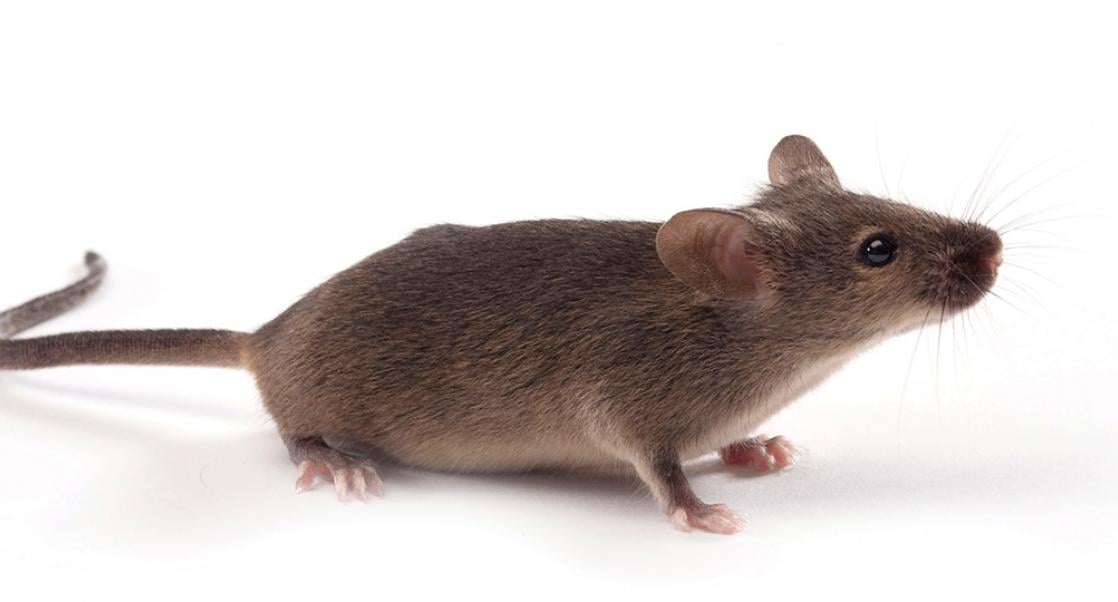 Abstract Science: June 29-July 3