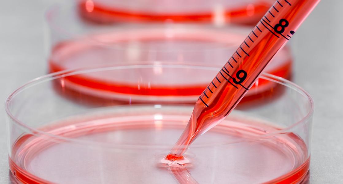 The Future of Melanoma Therapy