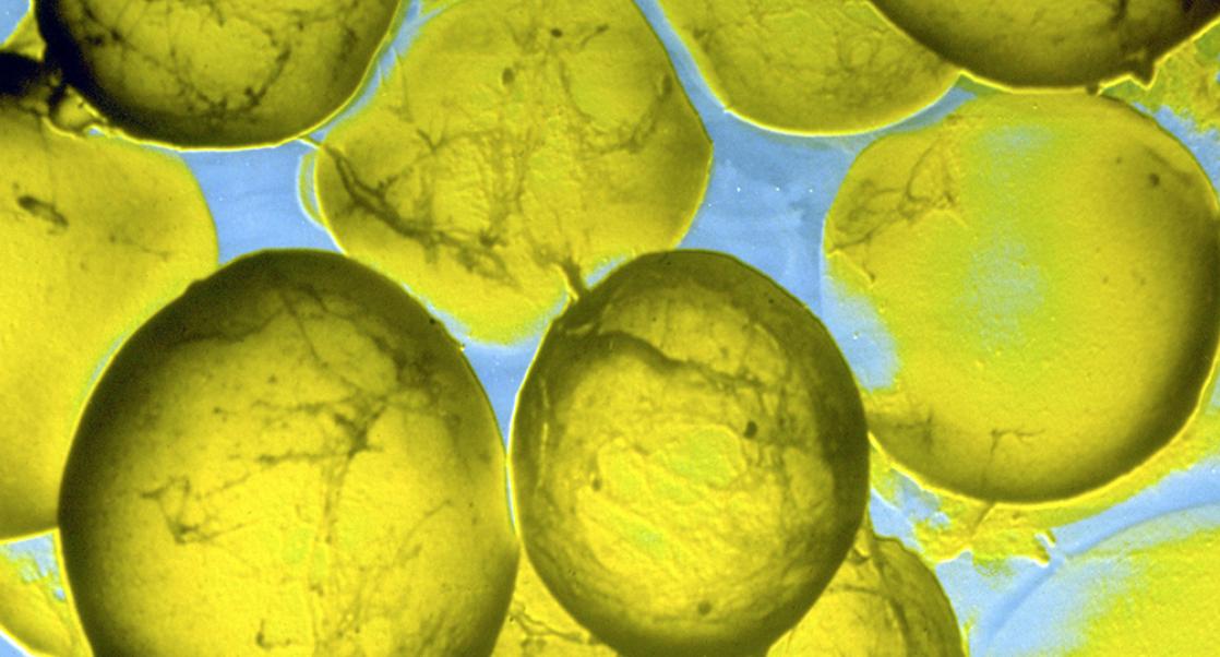 Abstract Science: May 9-13