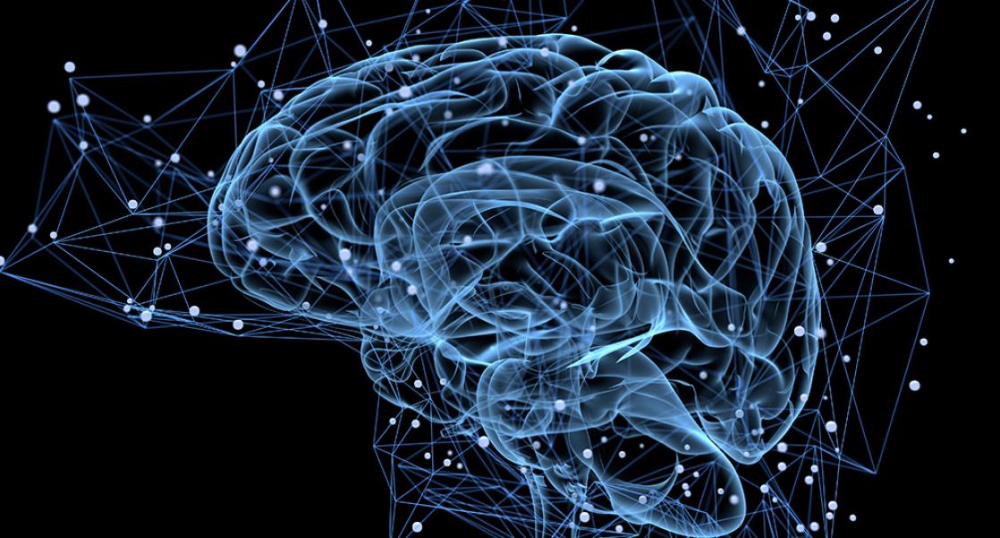 A GPS for the Brain, Zika in Utah? (Abstract Science: July 18-22)