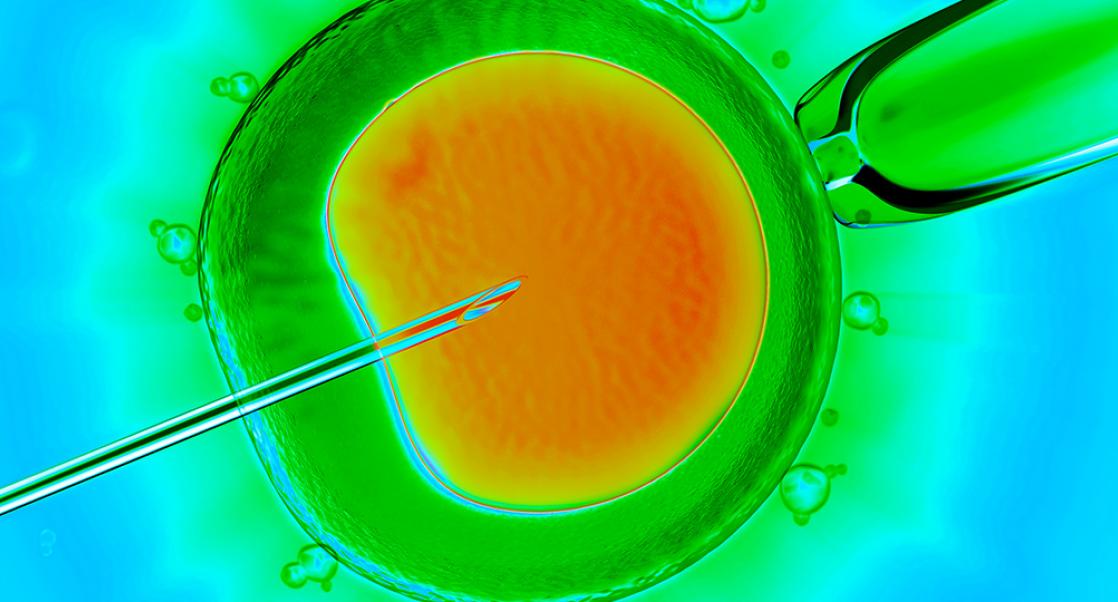 Abstract Science: Jan. 11-15