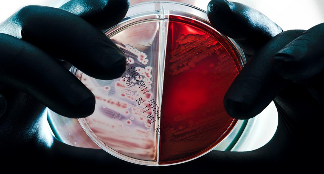 The PharmaLab Congress