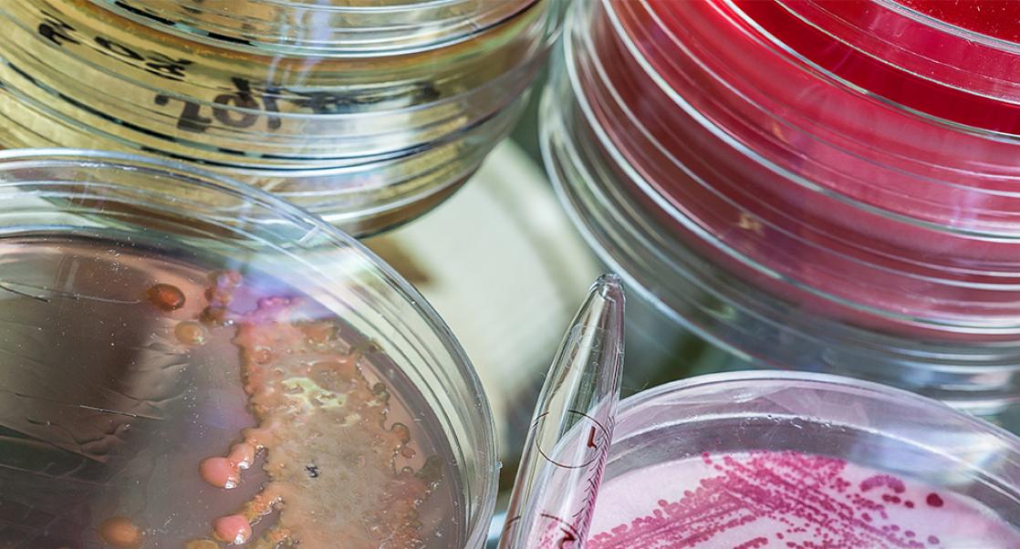 A Nasal Weapon, How Brexit Affects Science (Abstract Science: July 25-29)