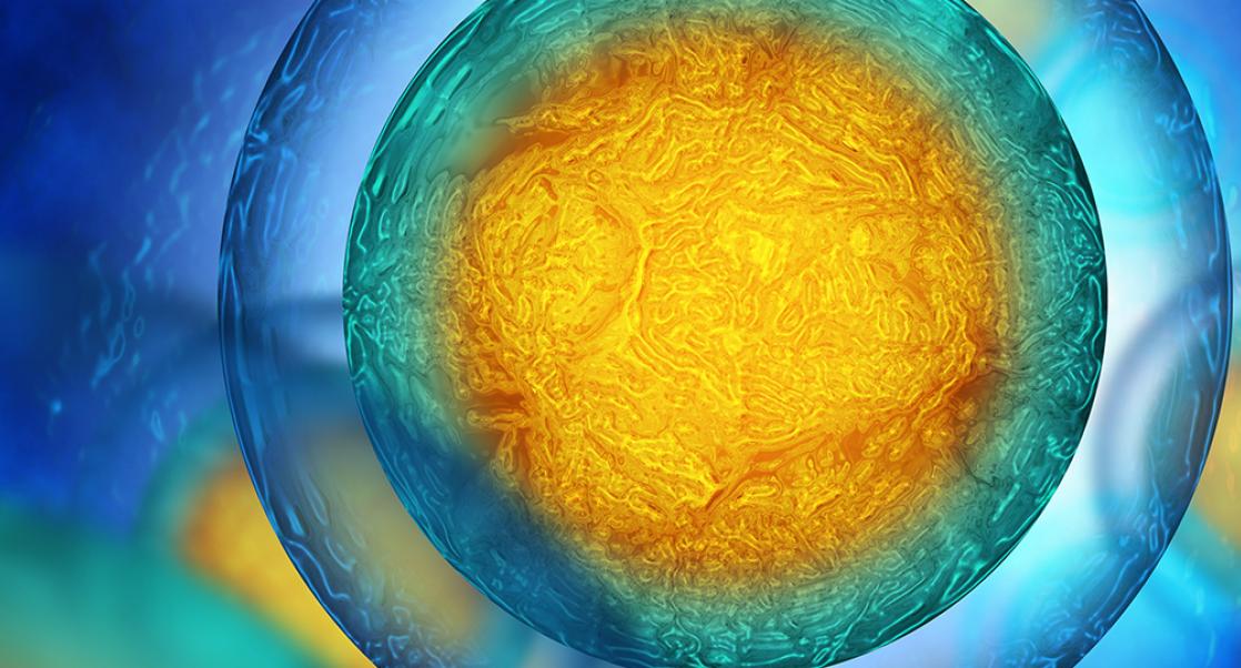 Eureka’s Top 10 Stories of 2019