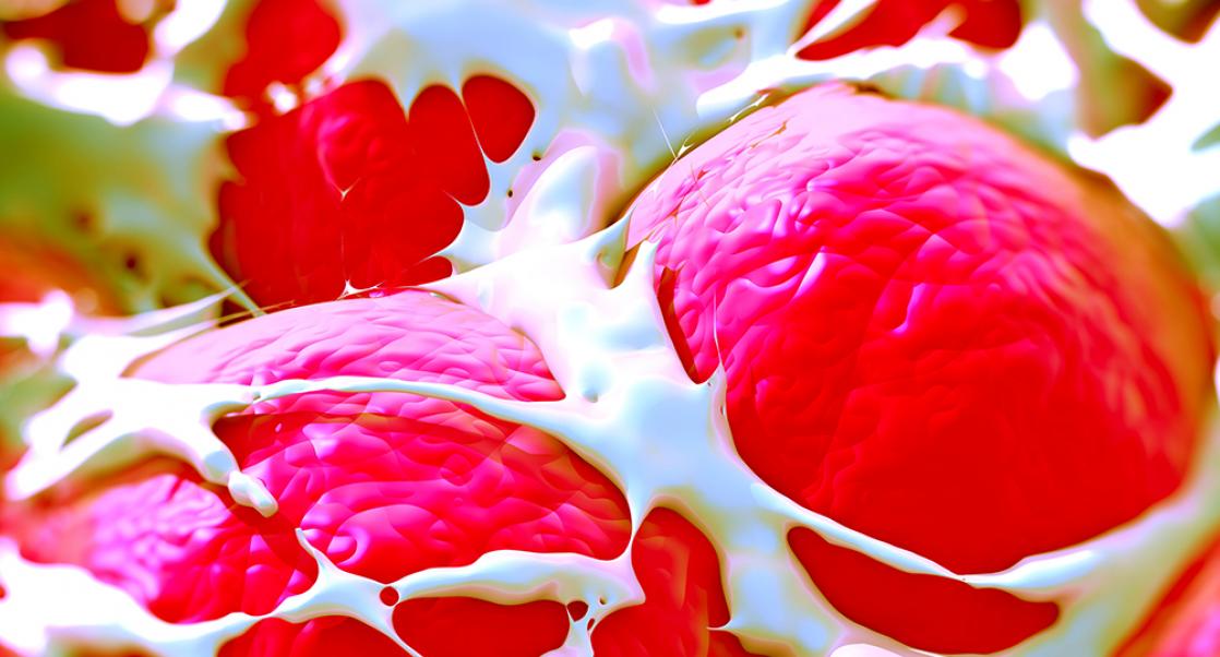 Stem Cell Clinics