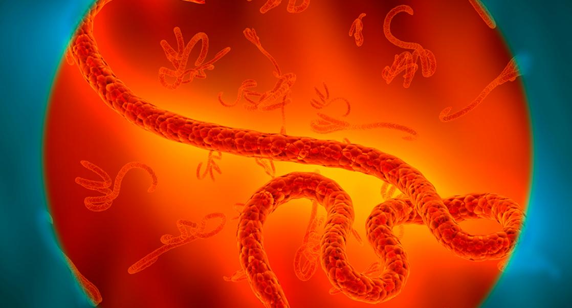 Zika's Dark Side