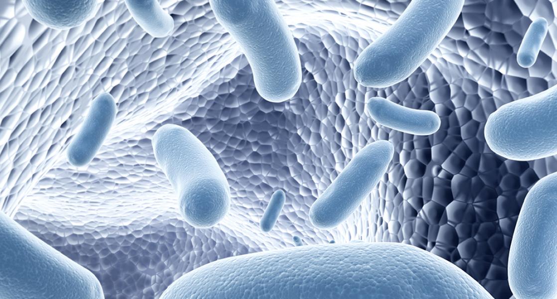 Grading the Germ Tests: An Update