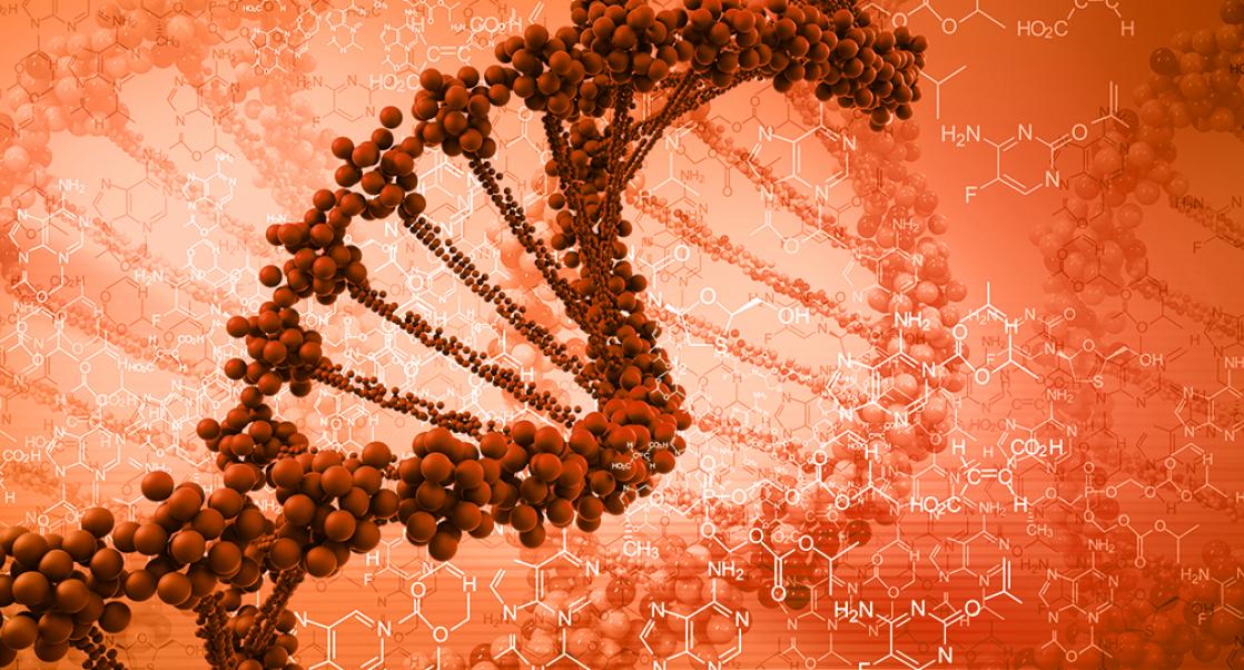 A Potential Cure for Hemophilia