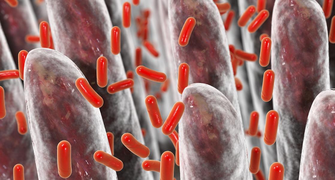 Abstract Science: August 17-21