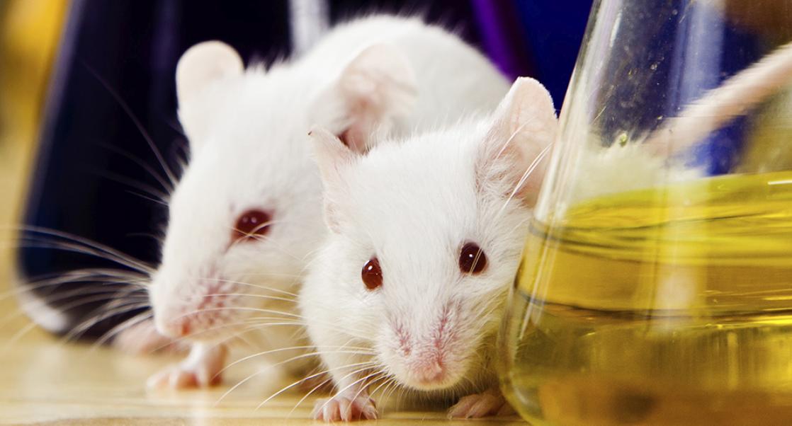 The Advantages of Microsampling