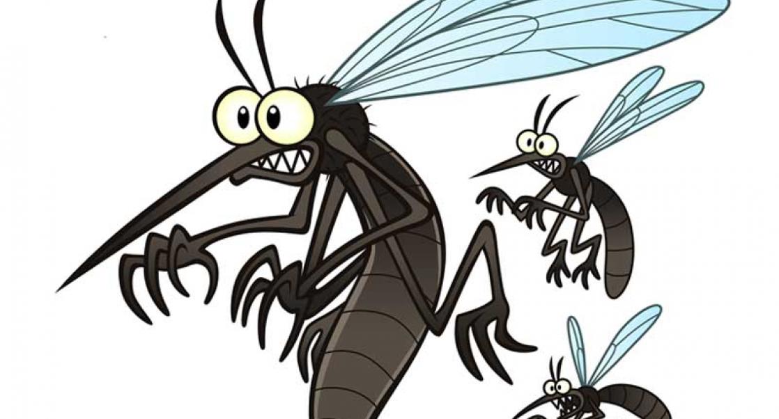 Mosquito Blood, Parental Behavior (Abstract Science: April 9 – 13)