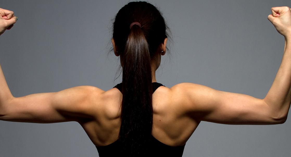 Eavesdropping on Muscle-Bone Crosstalk