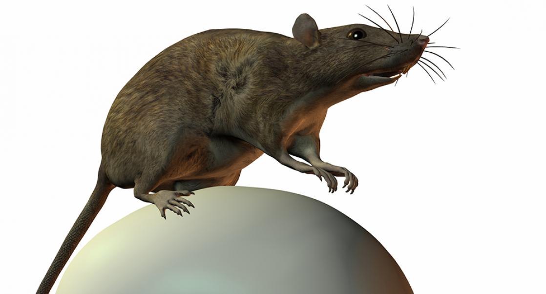 Pushing the Envelope