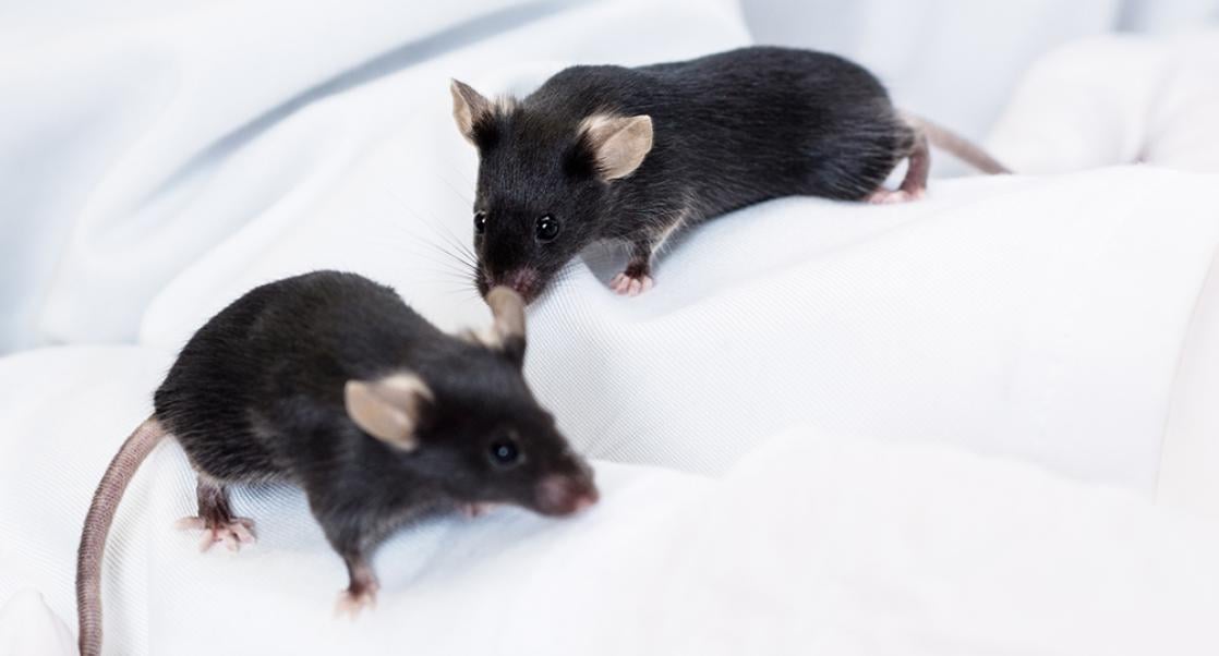 Abstract Science: July 6-10