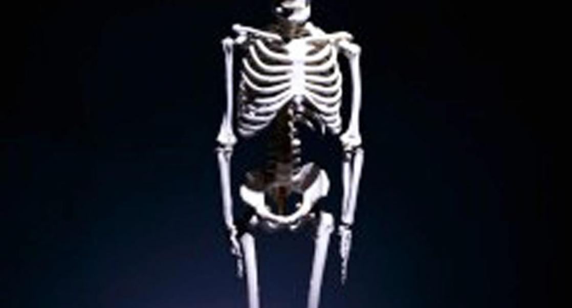 Susan Y. Smith featured in Genetic Engineering & Biotechnology News