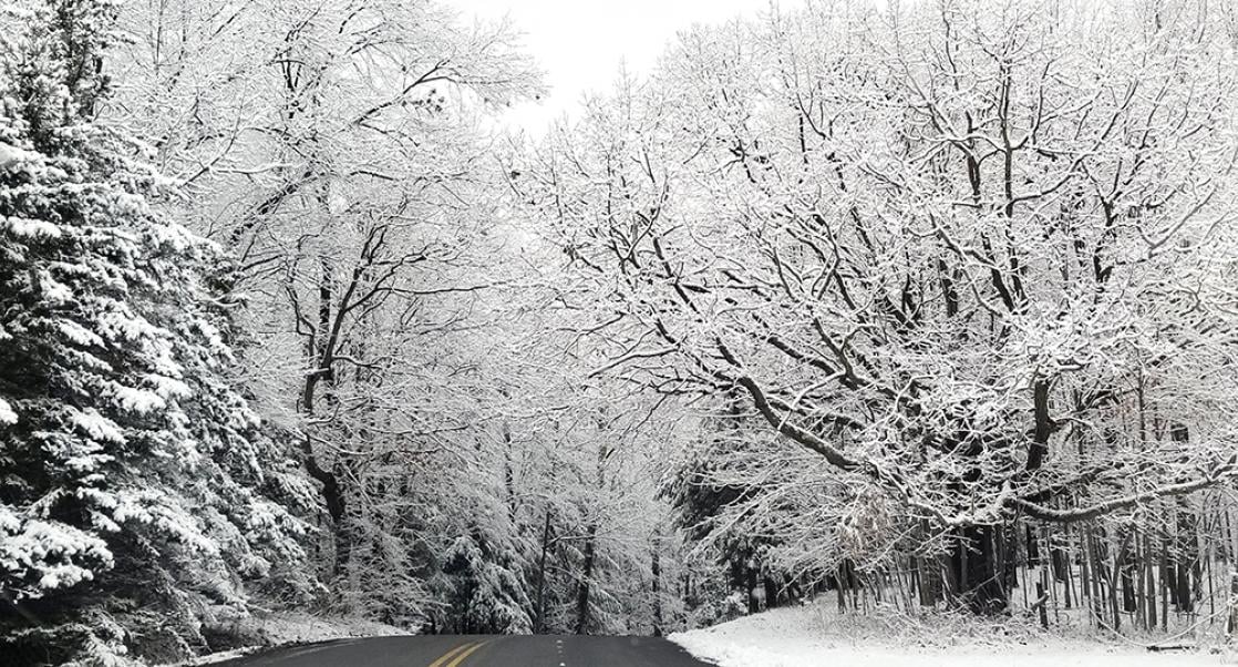 Even with Cancer, There is a Road Forward