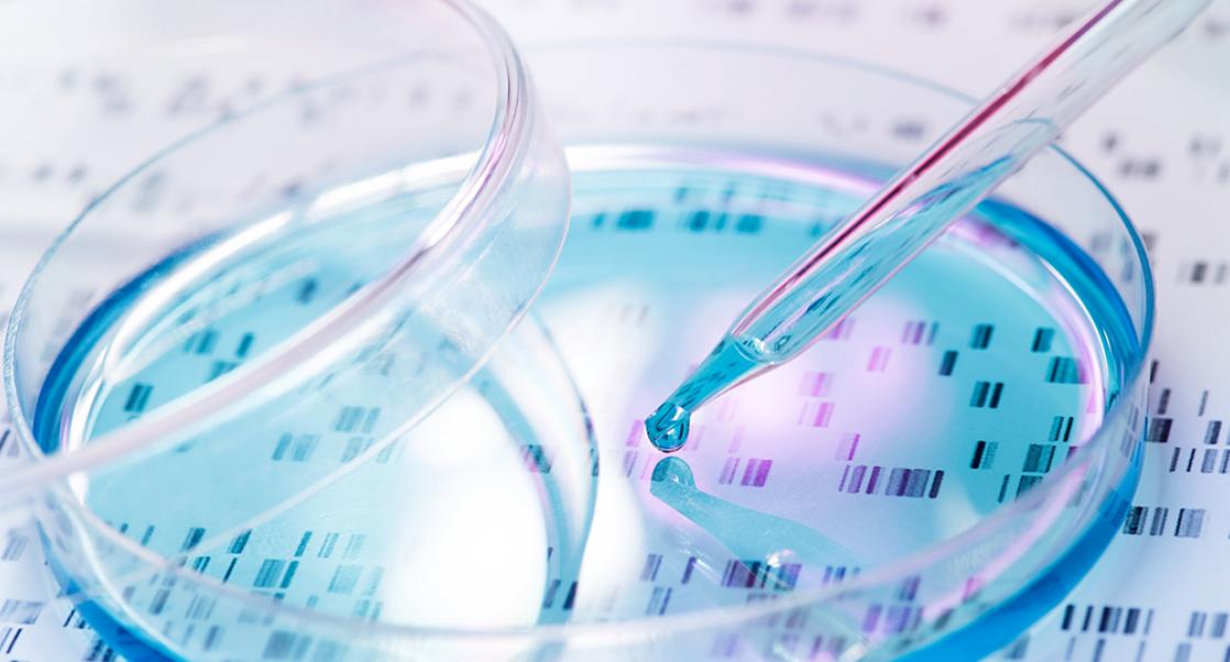 DNA Sequencing Saves the Day