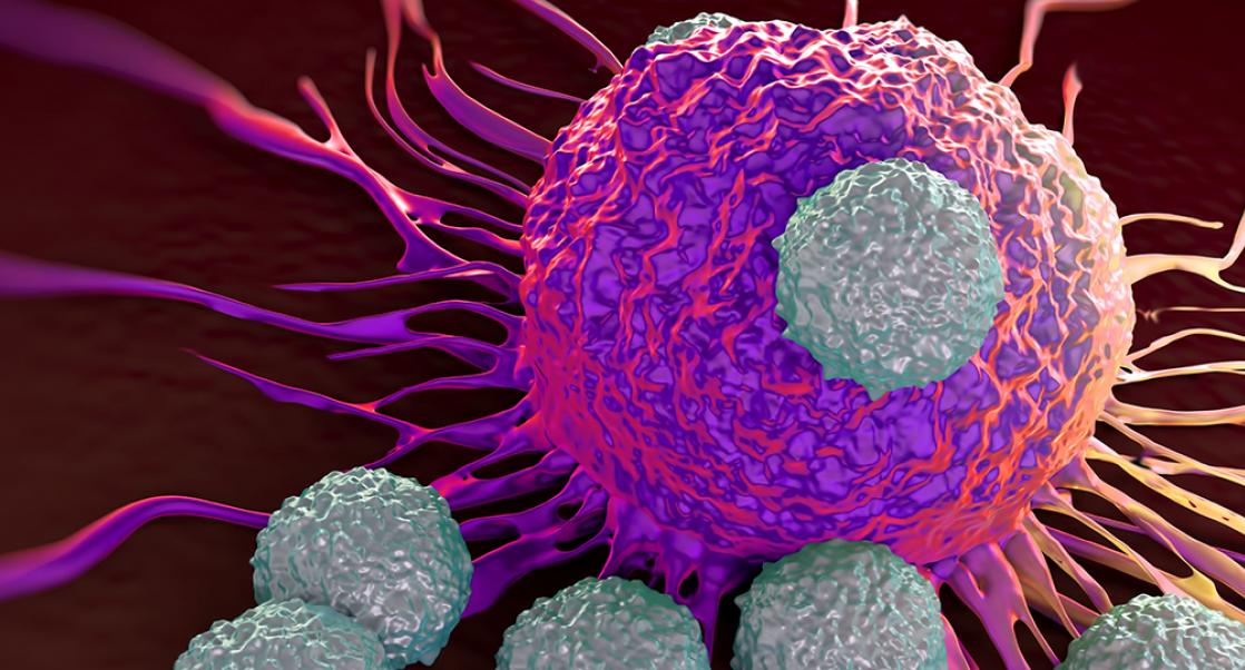 Our Body’s Natural Born Killers