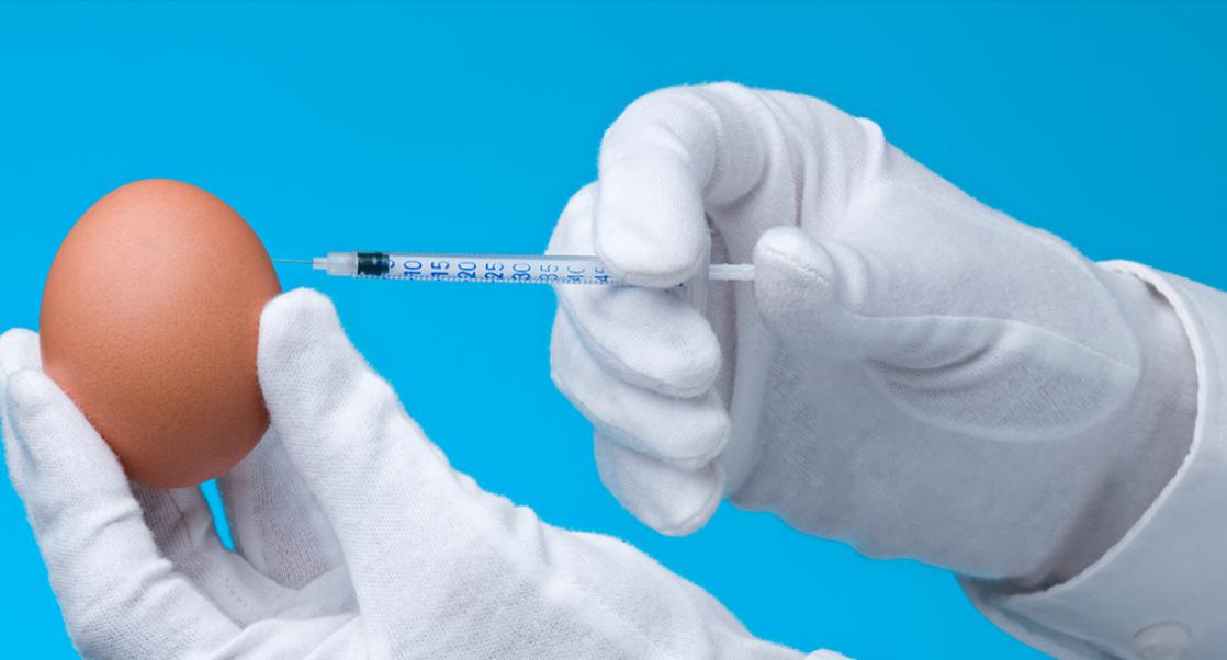 Vaccine Eggs