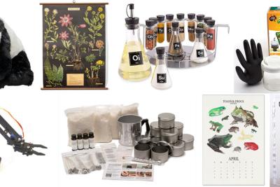 2021 Holiday gift guide