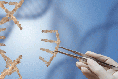 CRISPR abstract showing removal of a piece of DNA. 