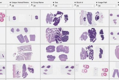 Accelerating Innovations in the advancing field of digital pathology