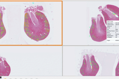Computer-assisted diagnosis in preclinical research