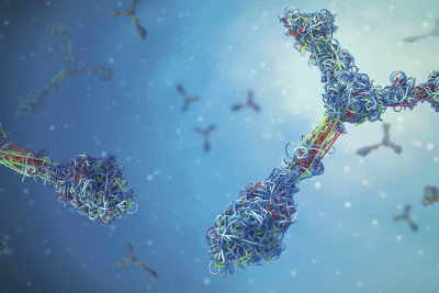 Illustration of antibodies -- part of a story on host-cell proteins.