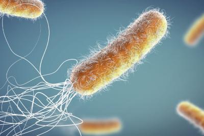 germs quiz