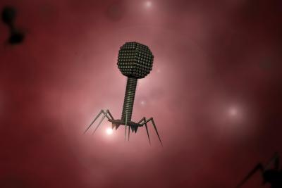 Phage Therapy: Beat the Superbugs at their Own Game