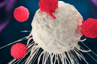 New Paradigms for Testing CAR T Drugs