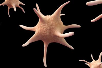 Does Your Drug have an Effect on Hemostasis?
