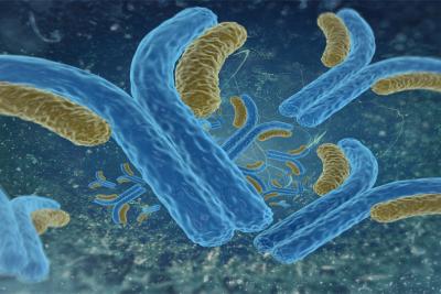 Tidying Up the Biologic