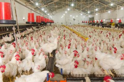 What's Hot in 2020: Antimicrobial Resistance