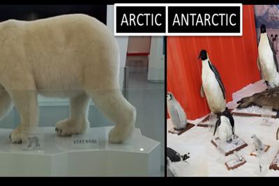 Mining Genetic Data at Korea's Polar Research Institute