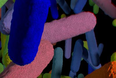 The Science Behind Microbirth