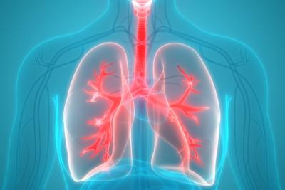 The Year in Mesothelioma: One Step Forward, One Step Back