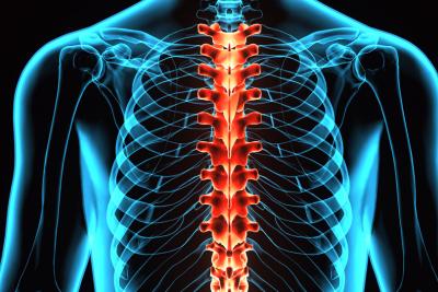 Neuroinflammation in Spinal Cord Injury: A Necessary Evil