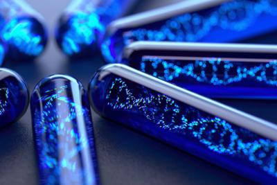 Safety Assessment with Antisense Oligonucleotides