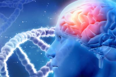 Pendulum Shifts in Alzheimer’s Research