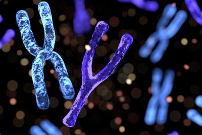 Antisense Therapies and Angelman Syndrome