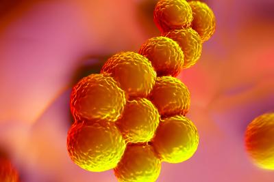 What's Hot in 2019: Advances in Fighting Antibiotic Resistance