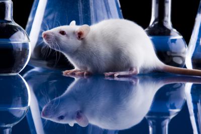 Musings of a Toxicologist