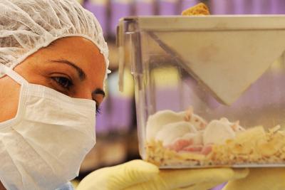 Mice No Longer Out in the Cold