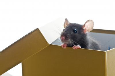 Think Outside The Box