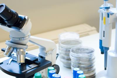 Toxicologic Pathology: Past, Present and Future