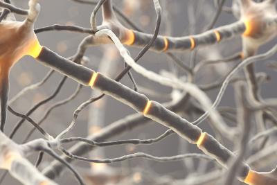 Abandon the Amyloid Hypothesis? Not So Fast